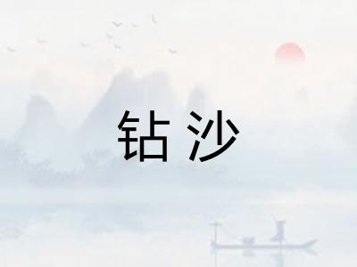 钻沙 钻沙