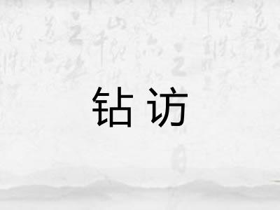 钻访 钻访