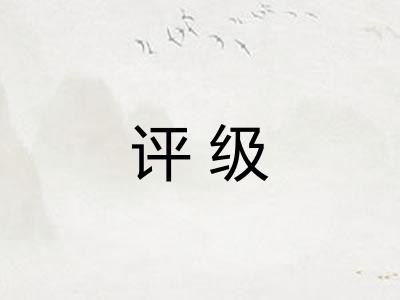 评级 评级