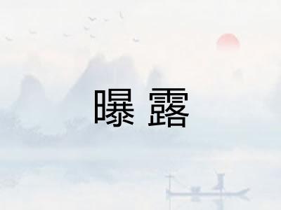 曝露 曝露