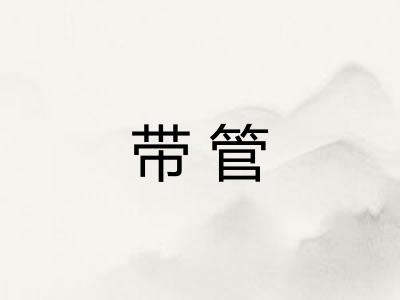 带管 带管