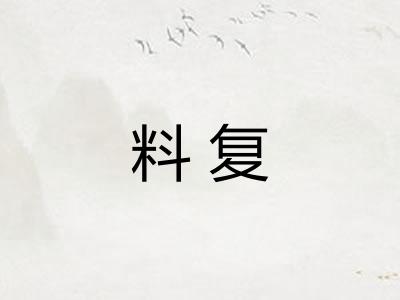 料复 料复
