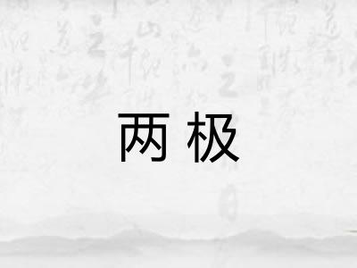 两极 两极