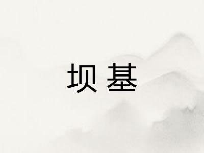 坝基 坝基