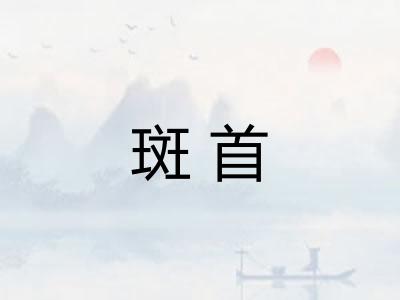 斑首 斑首