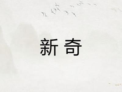新奇 新奇