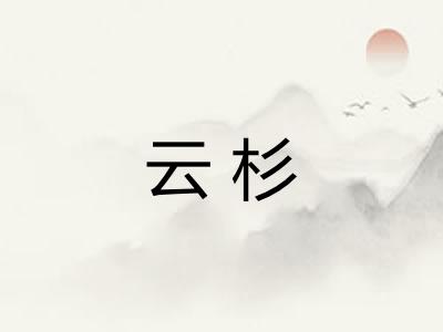 云杉 云杉