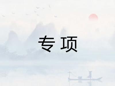 专项 专项