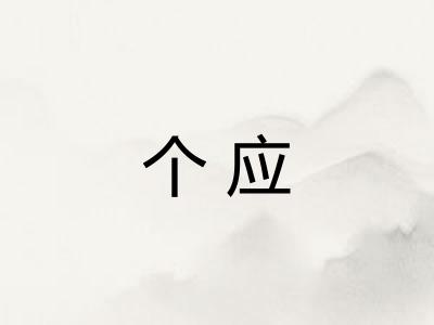 个应