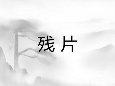 残片