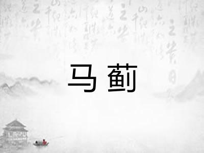 马蓟 马蓟