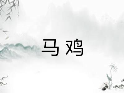 马鸡 马鸡