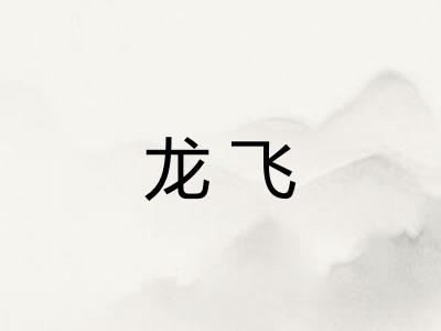 龙飞