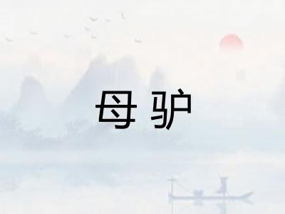 母驴 母驴