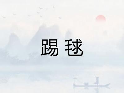踢毬 踢毬