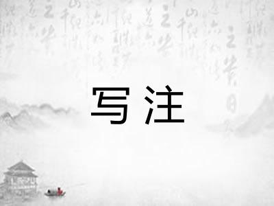 写注 写注
