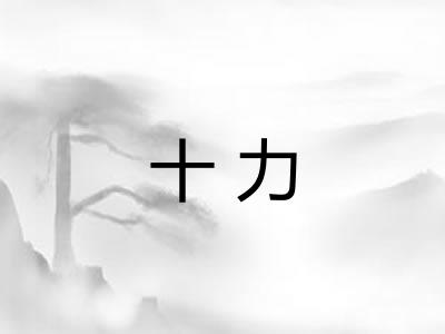 十力 十力