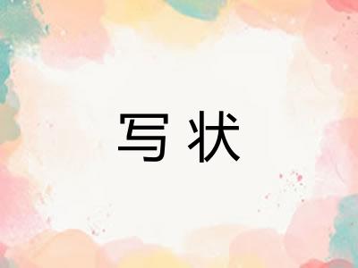 写状