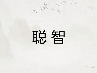 聪智 聪智