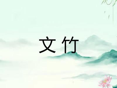 文竹 文竹