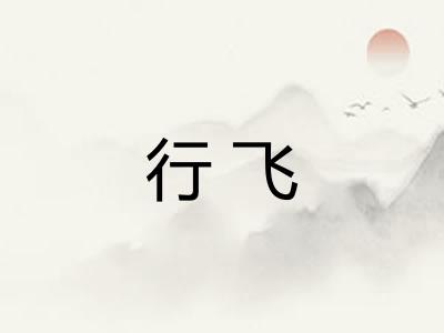 行飞 行飞