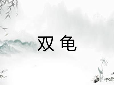 双龟 双龟