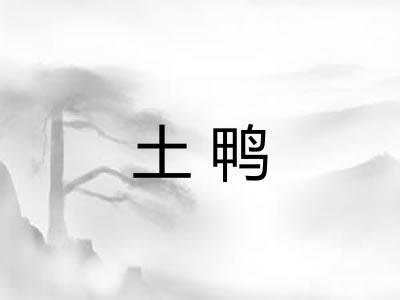 土鸭 土鸭