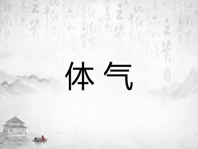 体气