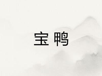宝鸭