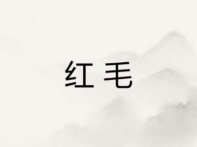 红毛 红毛