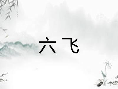 六飞 六飞