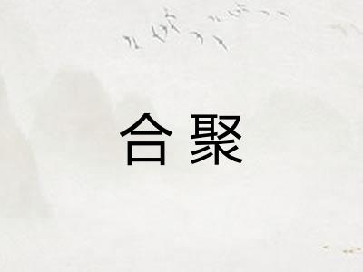 合聚 合聚