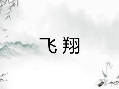 飞翔 飞翔