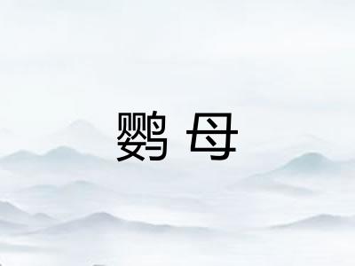 鹦母 鹦母