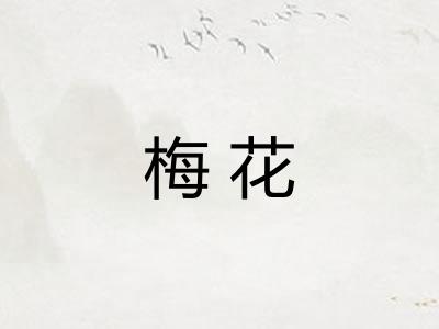 梅花 梅花