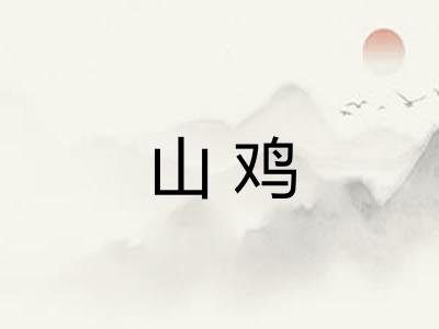 山鸡 山鸡