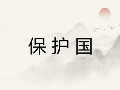 保护国 保护国