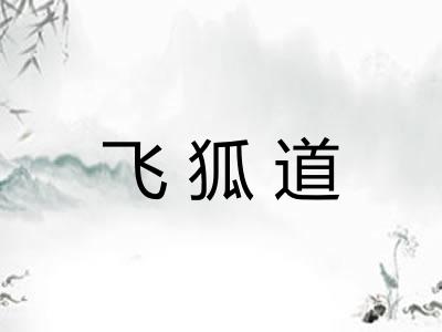 飞狐道 飞狐道