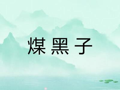 煤黑子 煤黑子