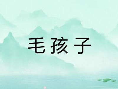 毛孩子 毛孩子