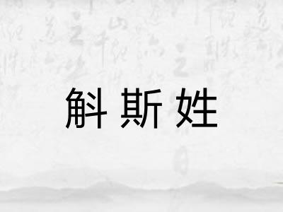 斛斯姓 斛斯姓