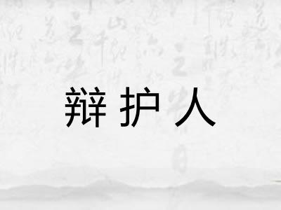 辩护人 辩护人