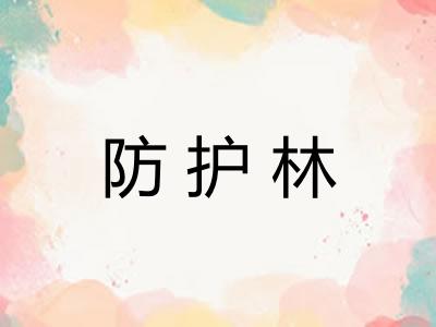 防护林 防护林