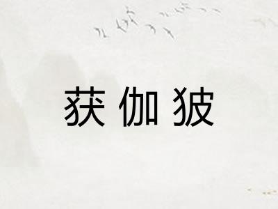 获伽狓 获伽狓