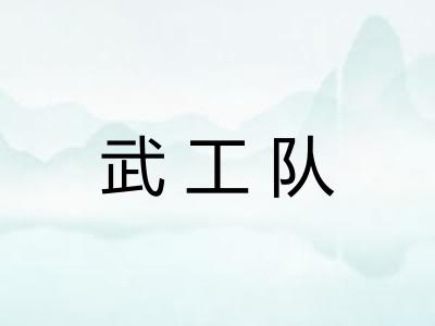 武工队 武工队