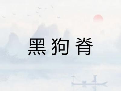 黑狗脊 黑狗脊