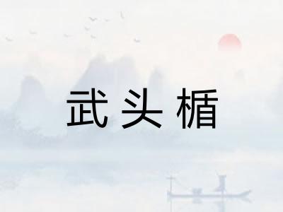 武头楯 武头楯