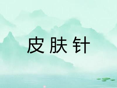 皮肤针 皮肤针