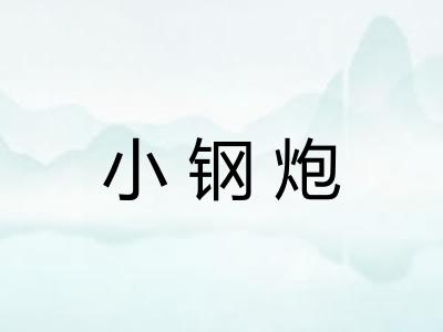 小钢炮