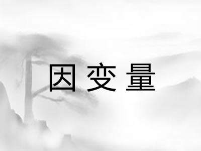 因变量 因变量